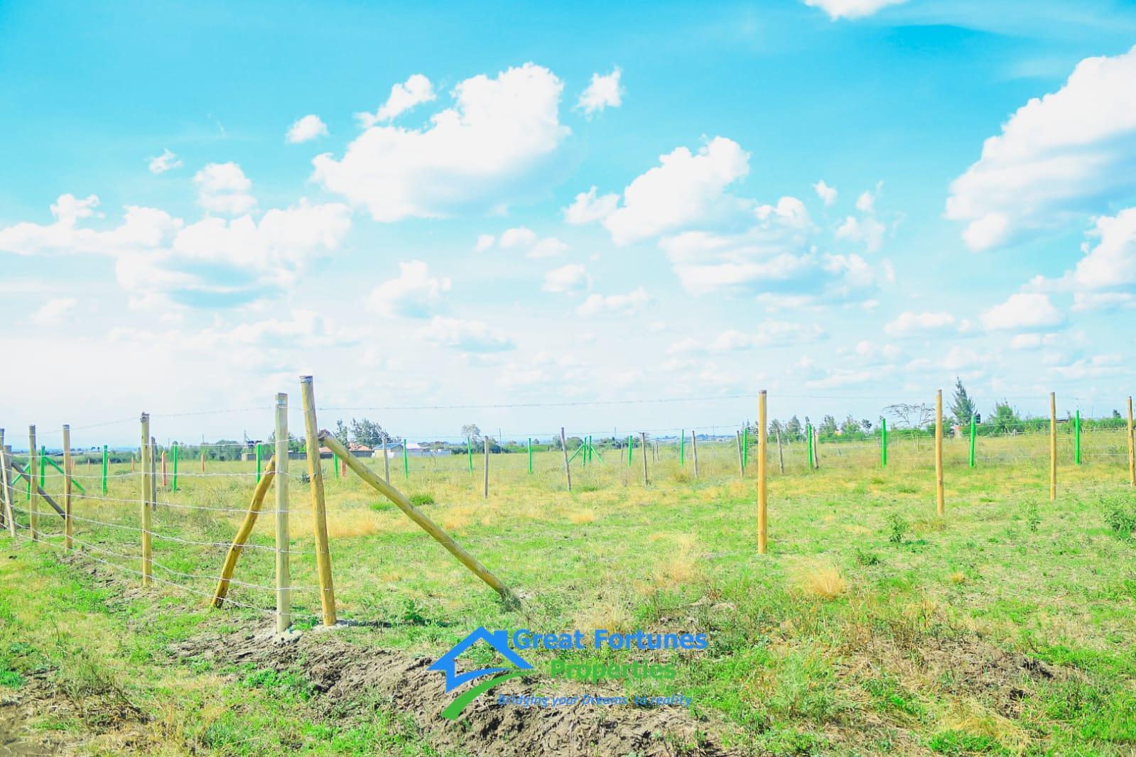 JOSKA NEEMA GARDENS PHASE 6