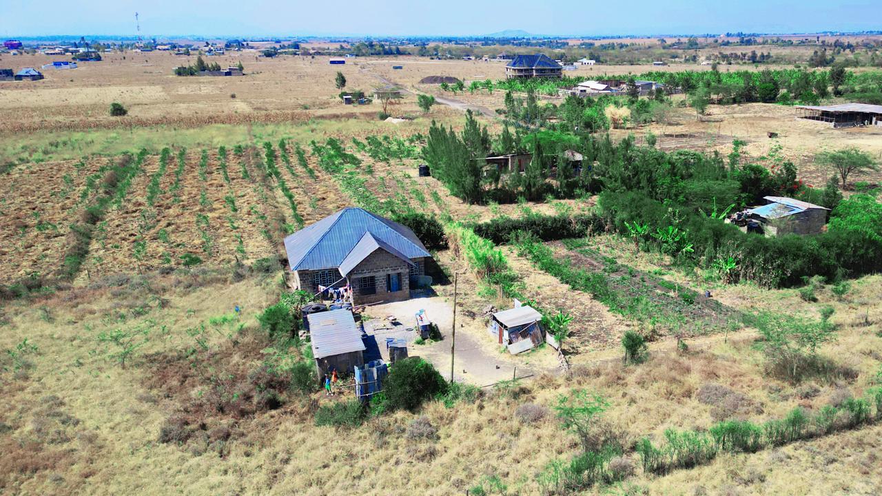 JOSKA NEEMA GARDENS PHASE 7