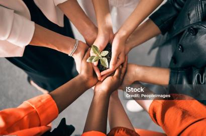 The Chama Land Guide: 5 Mistakes That Cost Groups Millions (And How to Avoid Them)